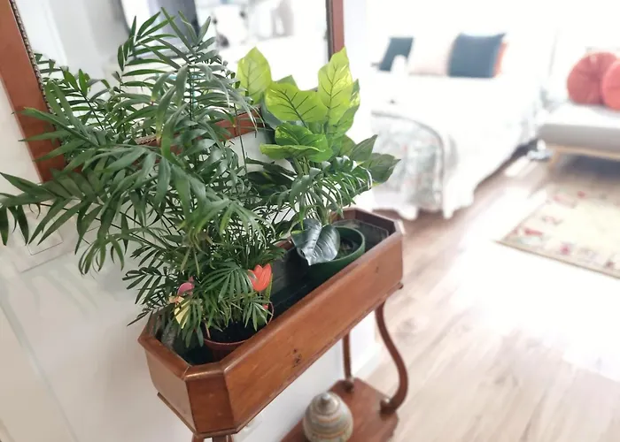 Kyra House Centro Daire *